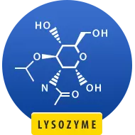 Формула препарата Лизобакт