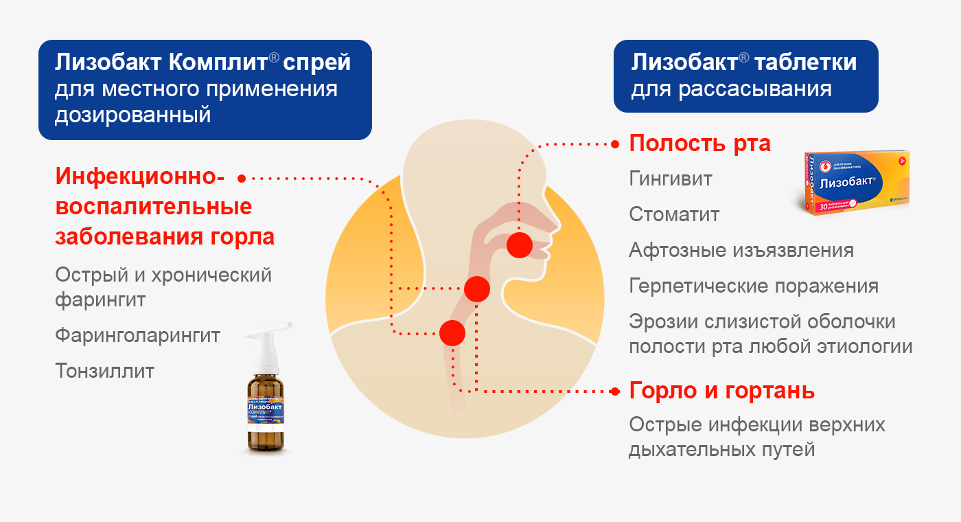 Лизобакт схема приема